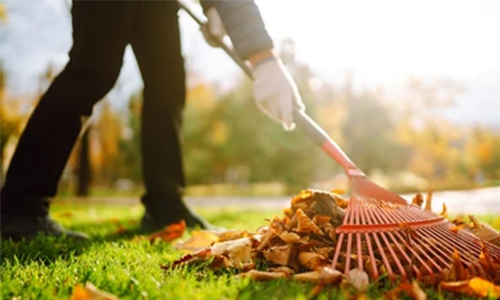 Serdivan bahçe temizliği hizmeti