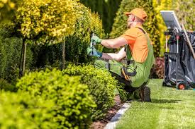 Serdivan periyodik bahçe bakımı hizmeti